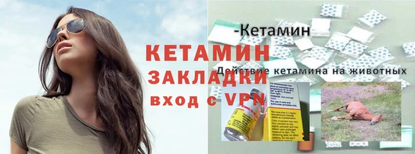 гидра Михайловск