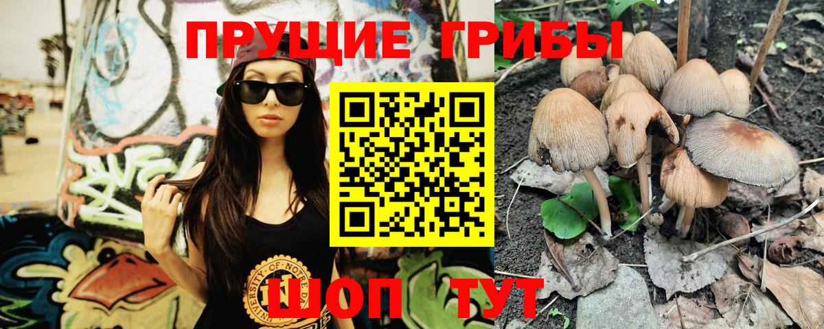 Галлюциногенные грибы мицелий  Вход с VPN  Канск 