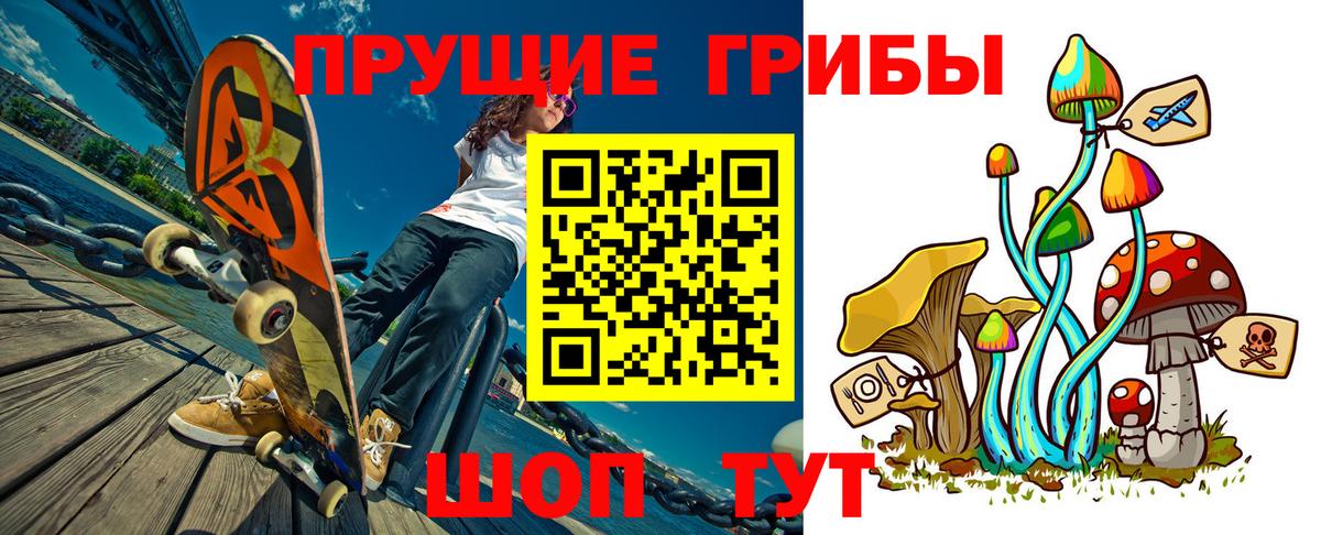 Псилоцибиновые грибы Cubensis  Канск 