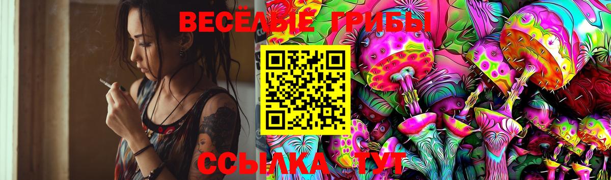 Псилоцибиновые грибы мицелий Канск